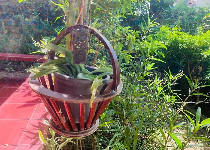 Guest house Palmhouse Bangkok