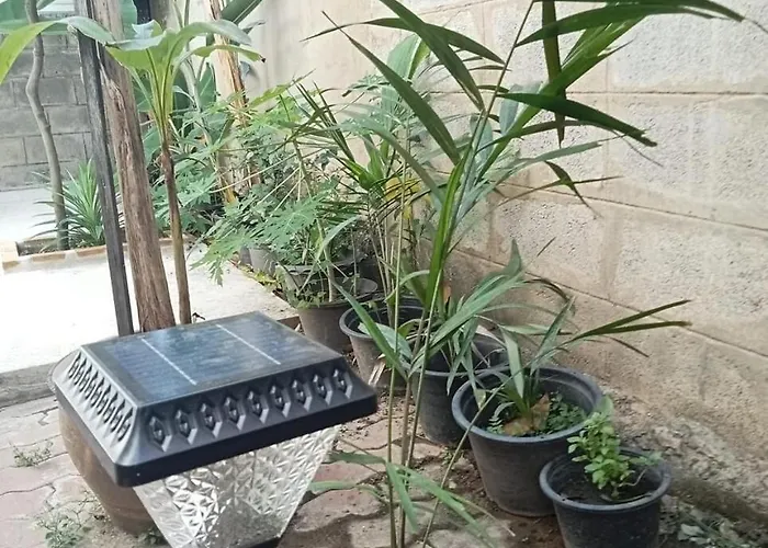 Palmhouse * Bangkok