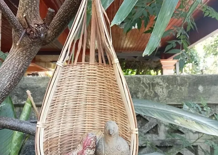 Palmhouse Guest house